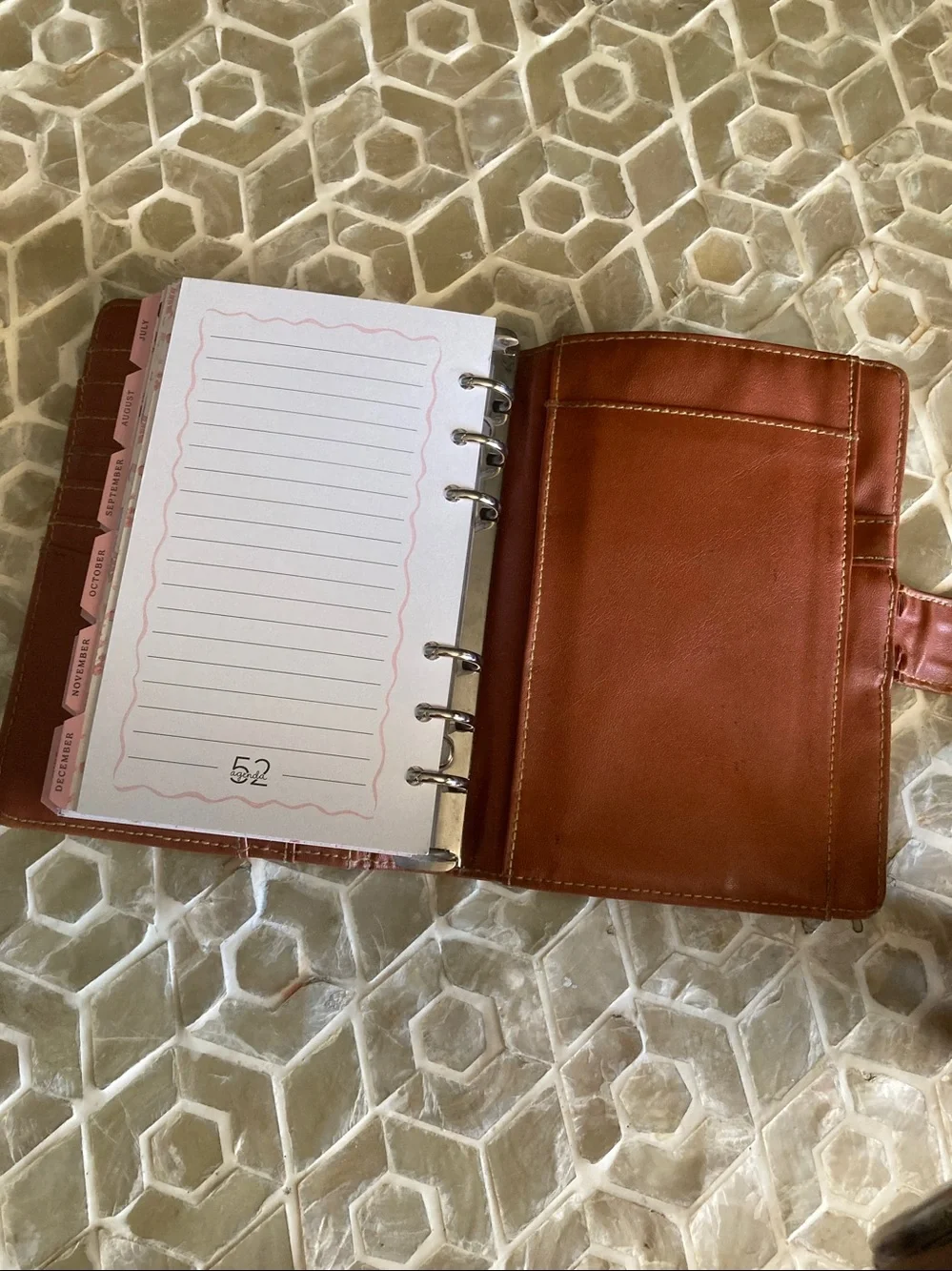 Dooney & Bourke All-Weather Leather (AWL) Vintage Organizer/ Agenda